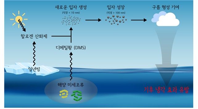 A team of Korean and international researchers has identified a natural process in the Arctic that could help the planet slow its own warming. (Image courtesy of Korea Polar Research Institute)