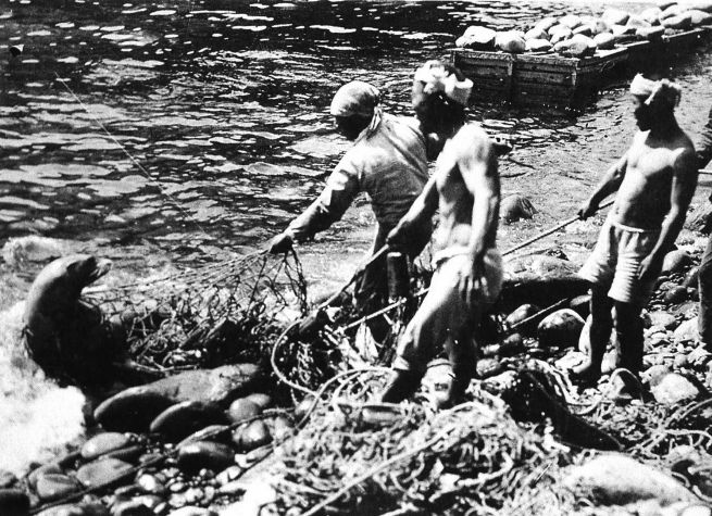 A historical photo showing Japanese people capturing Dokdo sea lions during the Japanese colonial period (Photo courtesy of the National Maritime Museum).