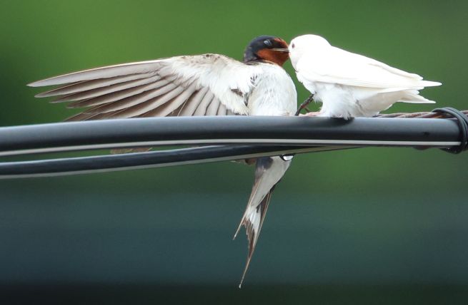 PYH2025080507000005600