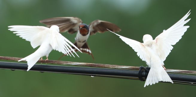 PYH2025080507100005600