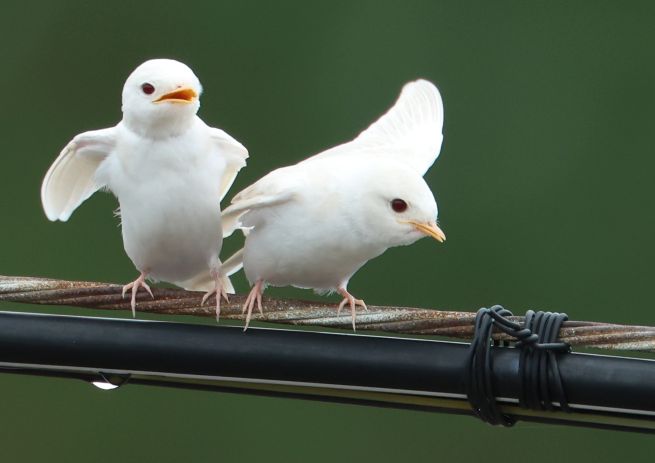 PYH2025080507120005600