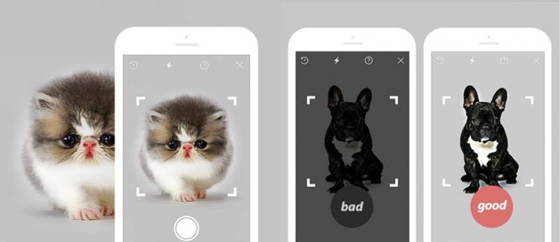 Naver Expands AI Search With Image Recognition, Tapping Into Local Data Strengths