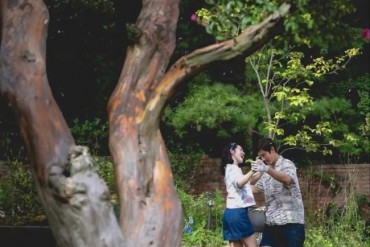 KOFIC Selects Park Chan-wook’s ‘No Other Choice’ As Oscar Contender