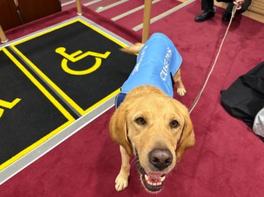 From Heroes to the Shadows: Forgotten Service Animals