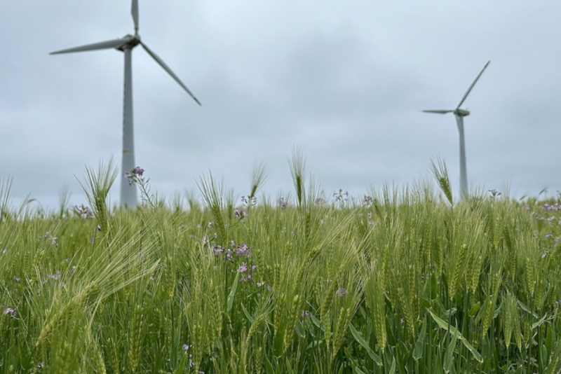 Korea Revisits Failed “Carbon-Free Island” as Renewable Energy Targets Rise Korea Revisits Failed “Carbon-Free Island” as Renewable Energy Targets Rise