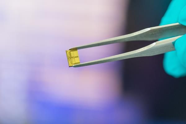 Scintil Photonics’ LEAF Light™ is the industry’s first single-chip DWDM-native light engine, delivering high-density, low-power optical connectivity for next-generation AI factories.