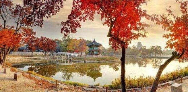 Two Hidden Corners of Gyeongbok Palace to Open Briefly to the Public