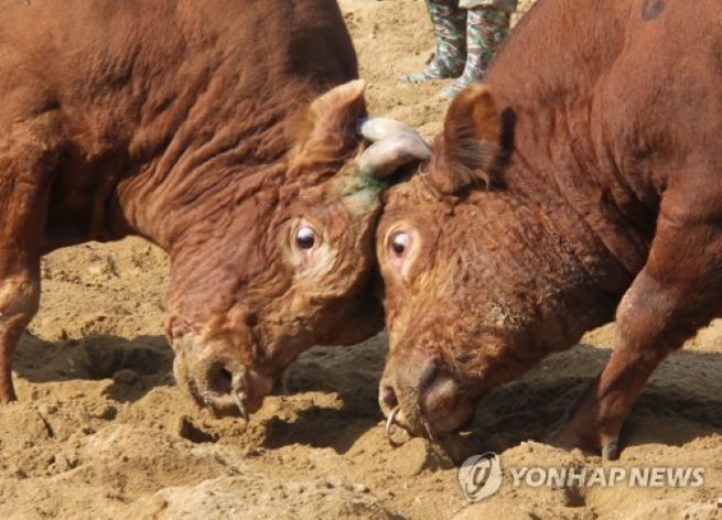 AKR20251002083700064_01_i_org