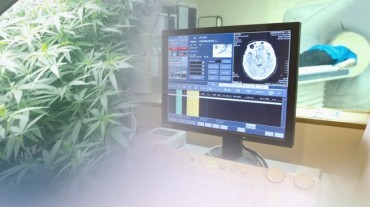 Korea’s Outdated Cannabis Laws Leave Patients, Industry, and Health System Struggling