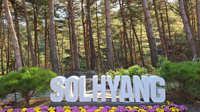 PCM20241113000119990