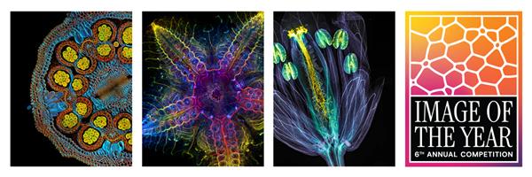 EVIDENT Launches Sixth Annual Image of the Year Contest