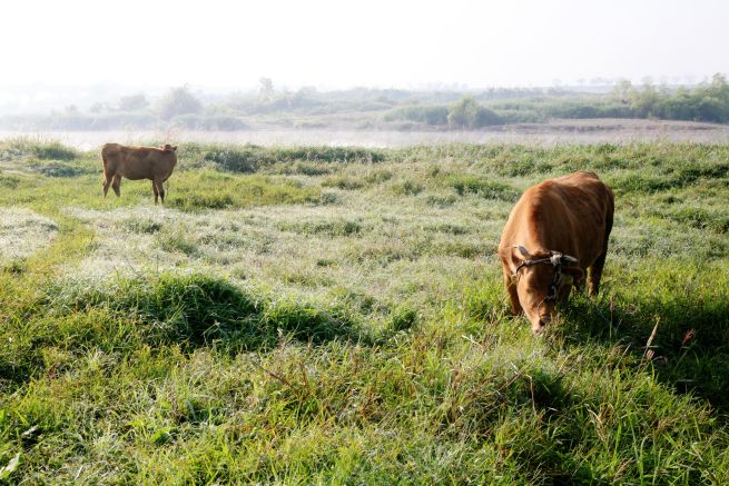 Seeking a Slower Life, Many Seoul Baby Boomers Ready to Leave the Capital—If Jobs Exist Seeking a Slower Life, Many Seoul Baby Boomers Ready to Leave the Capital—If Jobs Exist