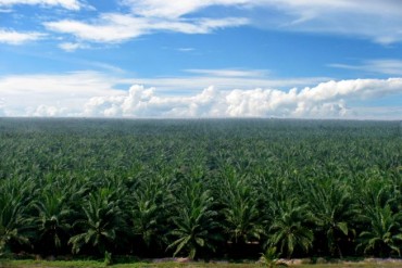 POSCO International Acquires Major Indonesian Palm Producer in $1 Billion Deal, Expands Biofuel Ambitions POSCO International Acquires Major Indonesian Palm Producer in $1 Billion Deal, Expands Biofuel Ambitions