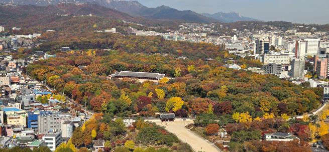 Culture Minister Vows to Block High-Rise Project Threatening Jongmyo Shrine