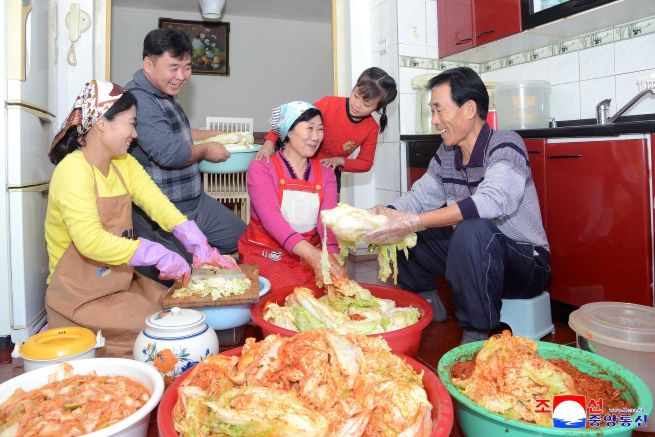 North Korea’s Korean Central News Agency reported on November 21 that, with the kimjang season arriving in November, families across the country are stocking up on cabbage and radishes to make kimchi at home, even as kimchi production facilities such as the Hwasong Kimchi Factory are in operation.