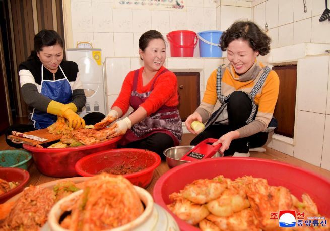 North Korea’s Korean Central News Agency reported on November 21 that, with the kimjang season arriving in November, families across the country are stocking up on cabbage and radishes to make kimchi at home, even as kimchi production facilities such as the Hwasong Kimchi Factory are in operation.