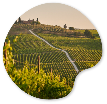 A natural breakthrough in protecting cereals and field crops