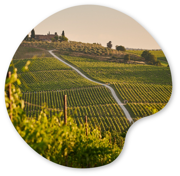 Founded in 2010, Amoéba is a greentech company based in Chassieu (Lyon, France) whose ambition is to become a major player in the treatment of microbiological risk based on the patented use of amoebae in the plant protection and cosmetics sectors. (Image from Amoéba webpage)