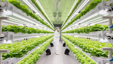 Korea Bets on ‘Physical A.I.’ to Reinvent Farming and Food Industries
