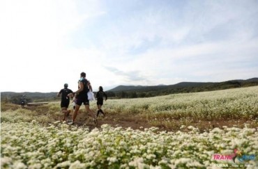 Running Culture Gains Momentum Among Travelers in Jeju