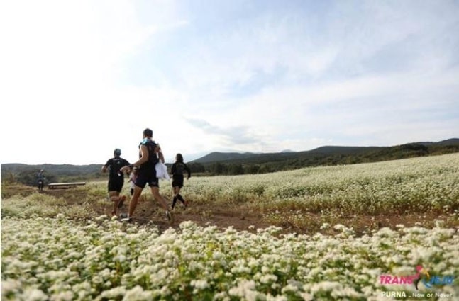 The photo shows the Trans Jeju International Trail Running Race hosted by Seogwipo City in 2021 on Jeju Island. (Photo provided by Seogwipo City and Yonhap)