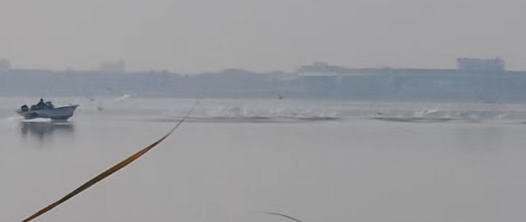 A fishing boat approaches a whooper swan at rest.