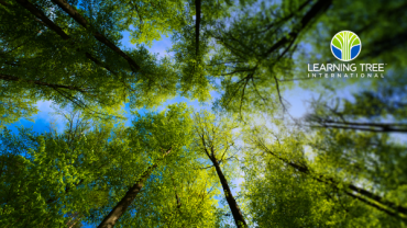 Learning Tree International Launches Comprehensive AI Workforce Solutions to Empower Organizations and Government Agencies to Take Full Advantage of the Benefits of AI in the Digital Age