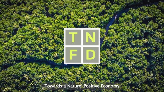 SK Securities Issues Korea’s First TNFD-Aligned Nature Capital Disclosure Report SK Securities Issues Korea’s First TNFD-Aligned Nature Capital Disclosure Report