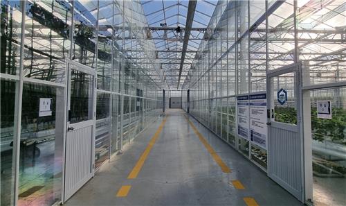 The defining feature of smart farms lies in their use of information technology to optimize labor, energy and other inputs required for agriculture, thereby maximizing productivity. (Image courtesy of South Jeolla Province)