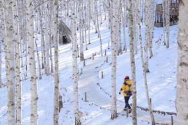 Forest Walks Emerge as a Leading Leisure Activity in Korea