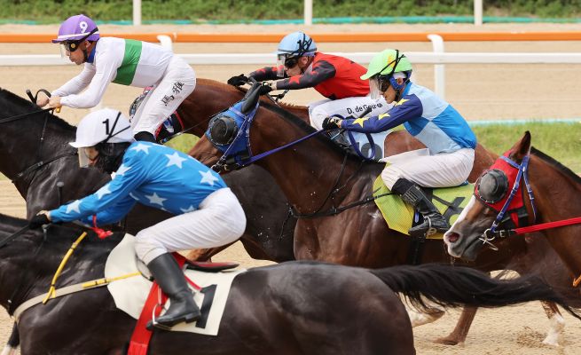 Racehorses are seen charging down the track at LetsRun Park Seoul in Gwacheon, Gyeonggi Province. (Yonhap)