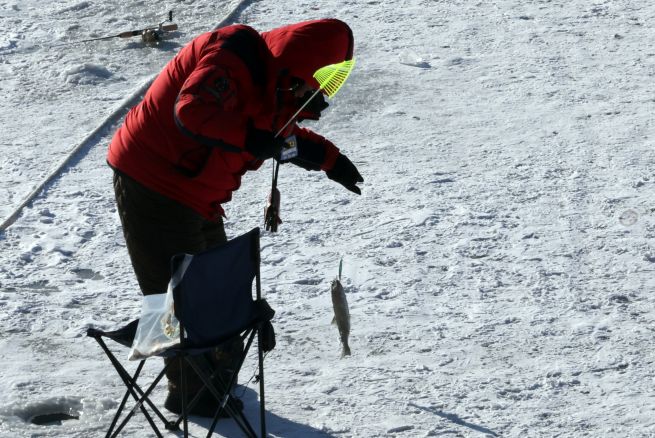 PYH2026011107510006200