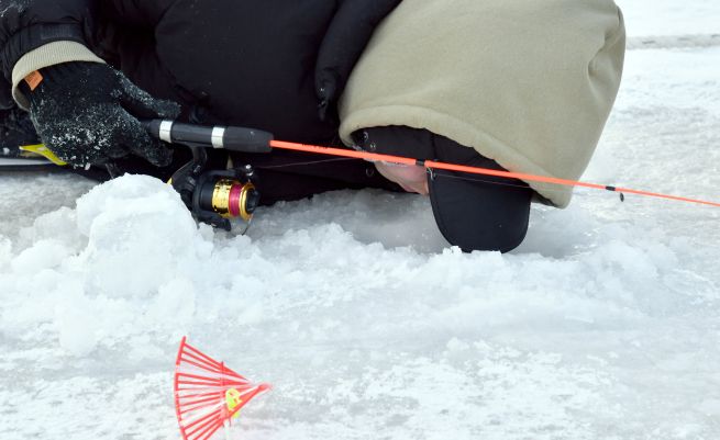 PYH2026012402820006200