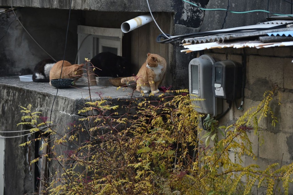 Court Clears Way for Redevelopment of Seoul’s Last Hillside Shantytown