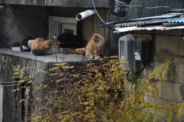 Court Clears Way for Redevelopment of Seoul’s Last Hillside Shantytown