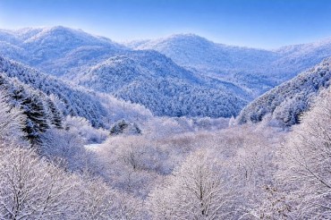 Snowfall Sweeps Central Korea, Leaving Icy Streets and Subzero Mornings